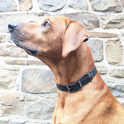 Biothane Hundehalsband "L"