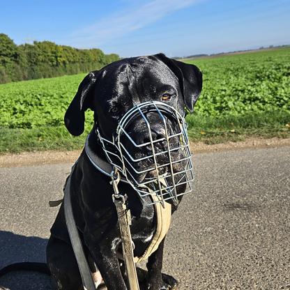 Unimon Maulkörbe "American Bully XL"