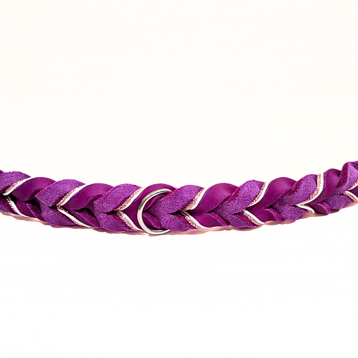 Fettleder Hundehalsband "Delux"