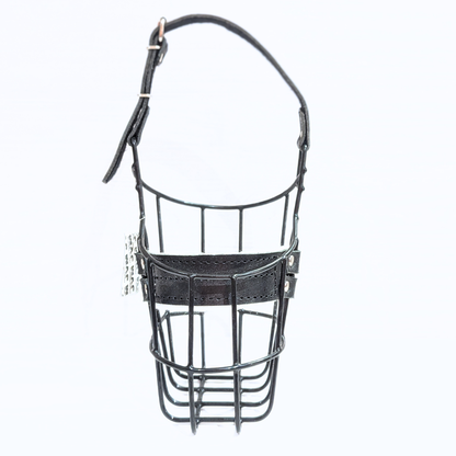 JVM Cockerspaniel Hündin "Safety First" Maulkorb schwarz