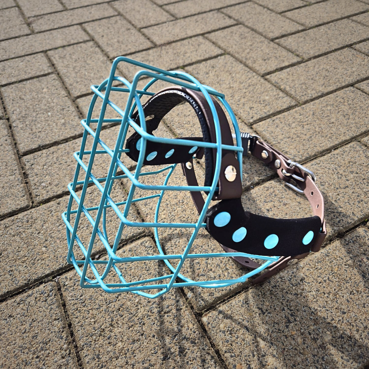 Maulkorb MF Staffy 2 "kurz" Türkis