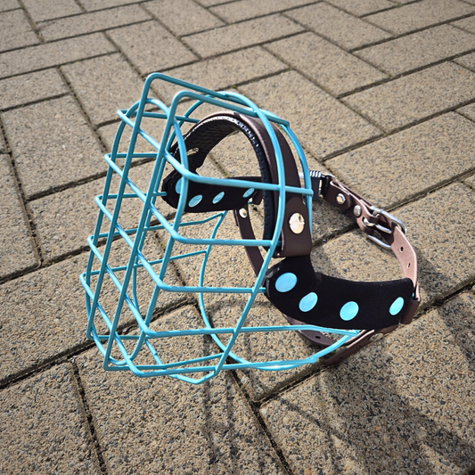 Maulkorb MF Staffy 2 "kurz" Türkis