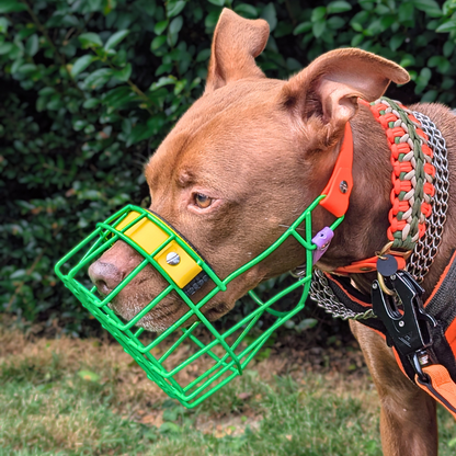 MF Staffy Maulkörbe