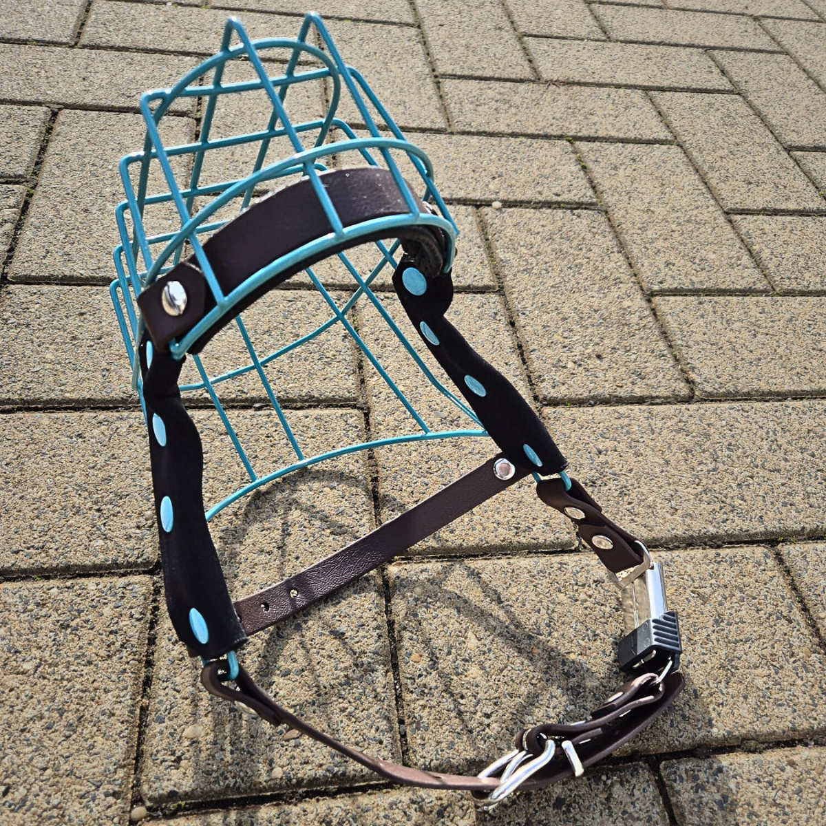 Maulkorb MF Staffy 2 "kurz" Türkis