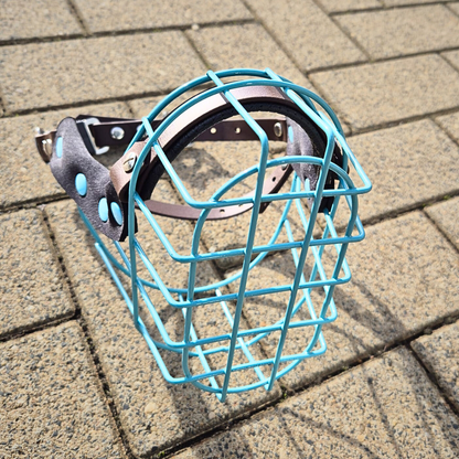 Maulkorb MF Staffy 2 "kurz" Türkis