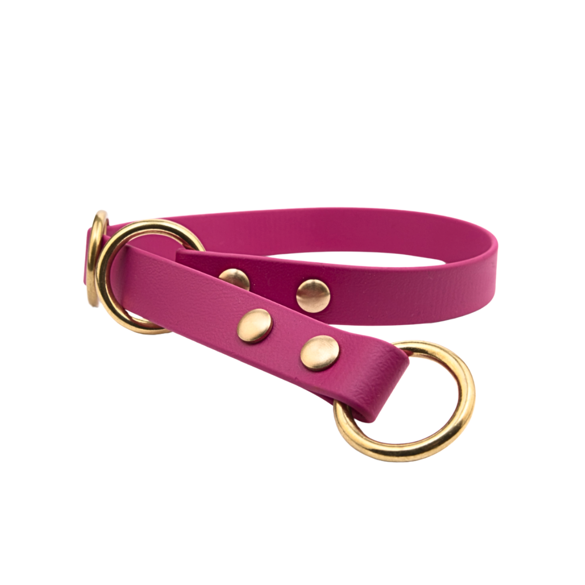 Biothane Zugstopp-Hundehalsband