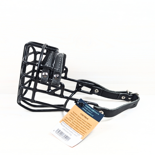 Chopo Zwergschnauzer Rüde Maulkorb