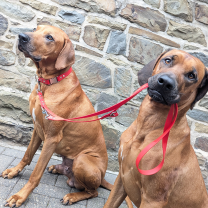 Biothane Hundeleine 2m "19mm"